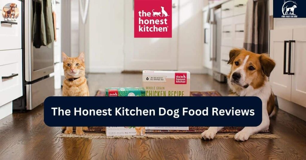 The Honest Kitchen Dog Food Reviews