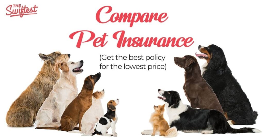 TheSwiftest - best-pet-insurance-compared