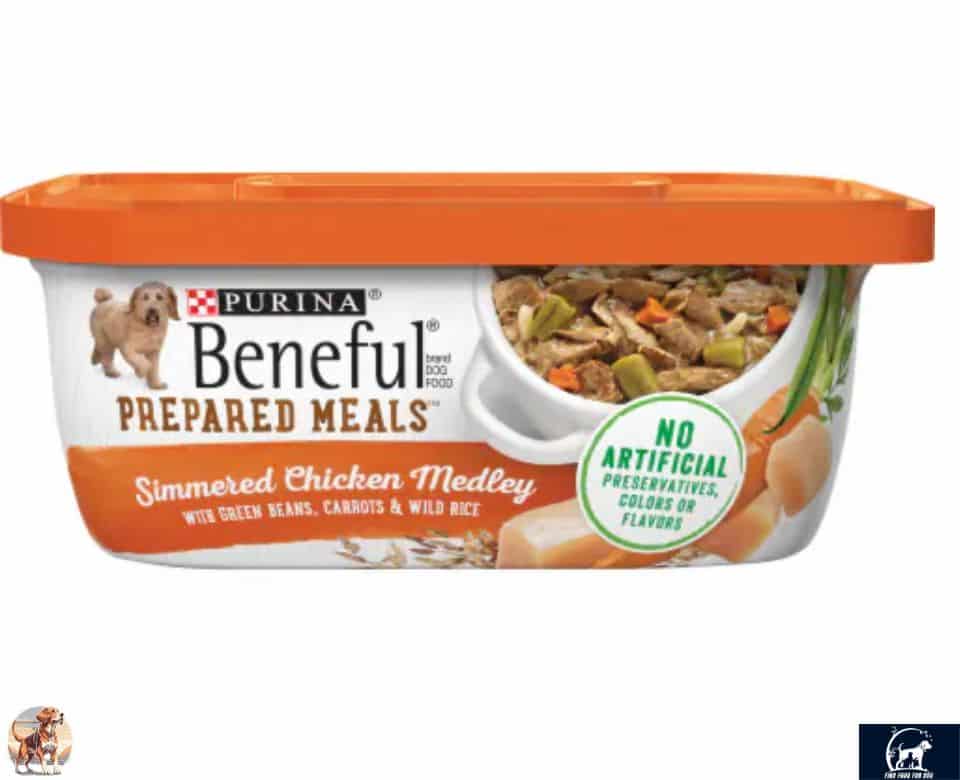 beneful dog food products reviews