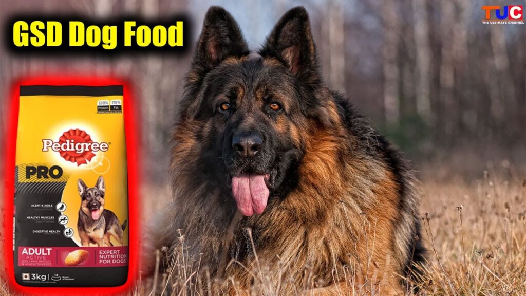 Best Dog Food for German Shepherds: Top 10 Healthy Choices