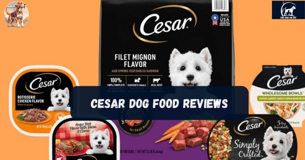 cesar dog food reviews