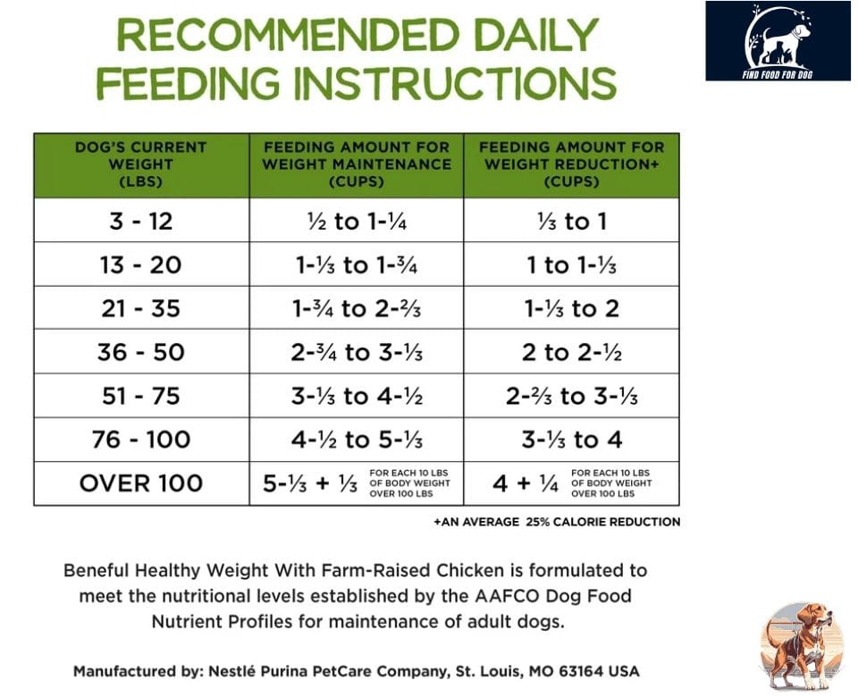 feeding instraction