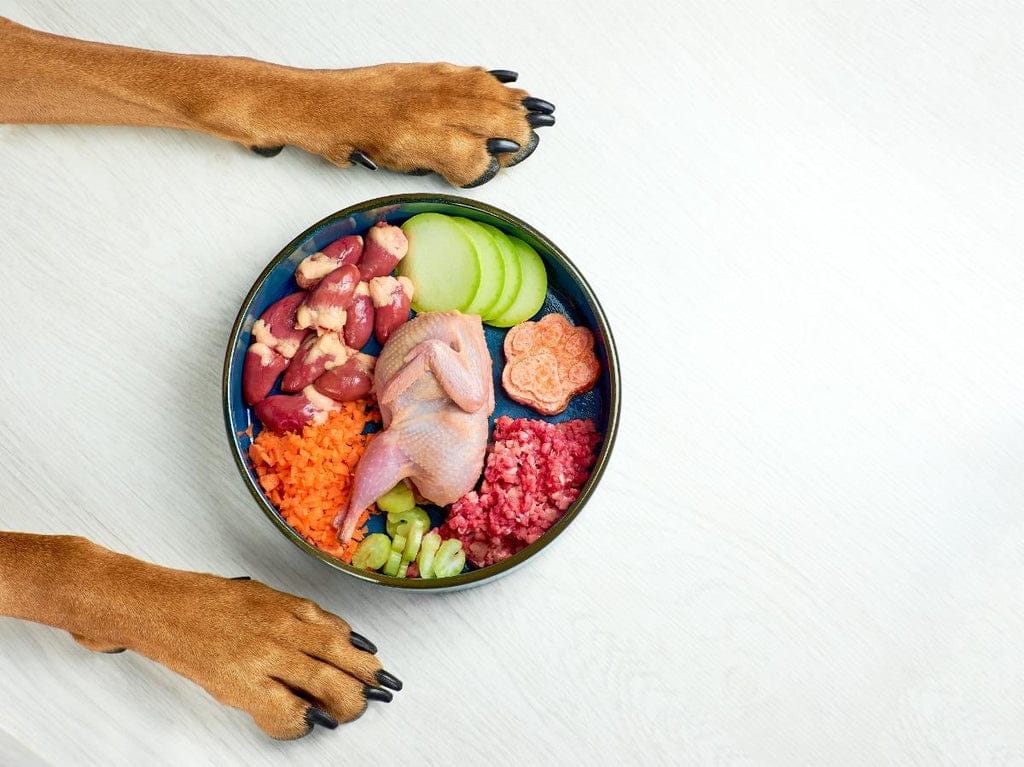 Freeze Dried Dog Food: The Ultimate Guide to Canine Nutrition