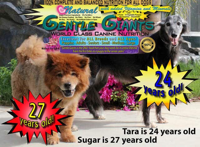 Gentle Giant Dog Food: Premium Nutrition for Large Breeds