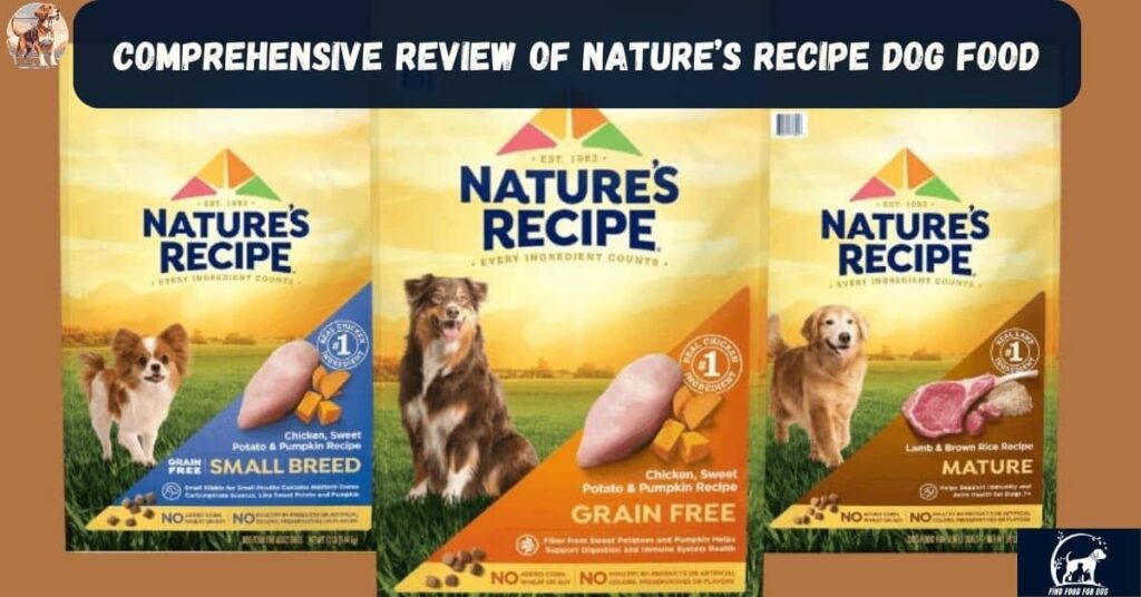 natures recipe dog food review