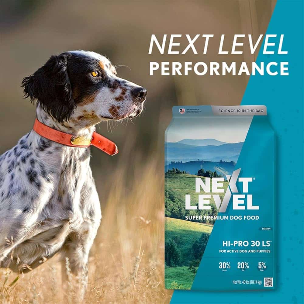 Next Level Dog Food: Elevate Your Pup's Nutrition Today