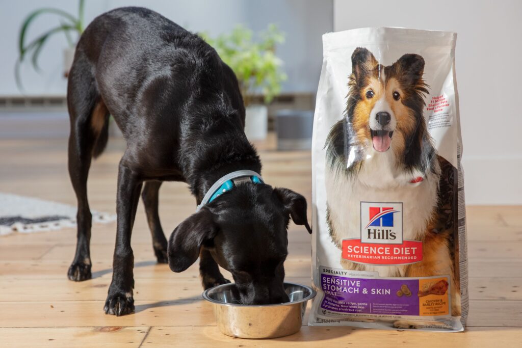 British Dog Food Secrets: Top Nutrition Tips for Pups!