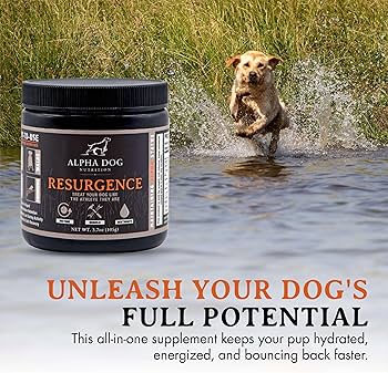 Bully Max Puppy Food: Unleash Your Pup's True Potential