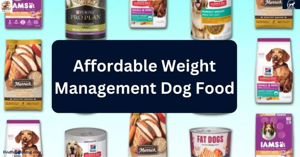 Affordable Weight Management Dog Food