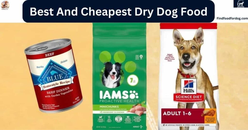 Best And Cheapest Dry Dog Food