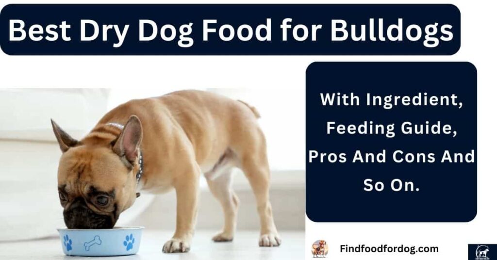 Best Dry Dog Food for Bulldogs