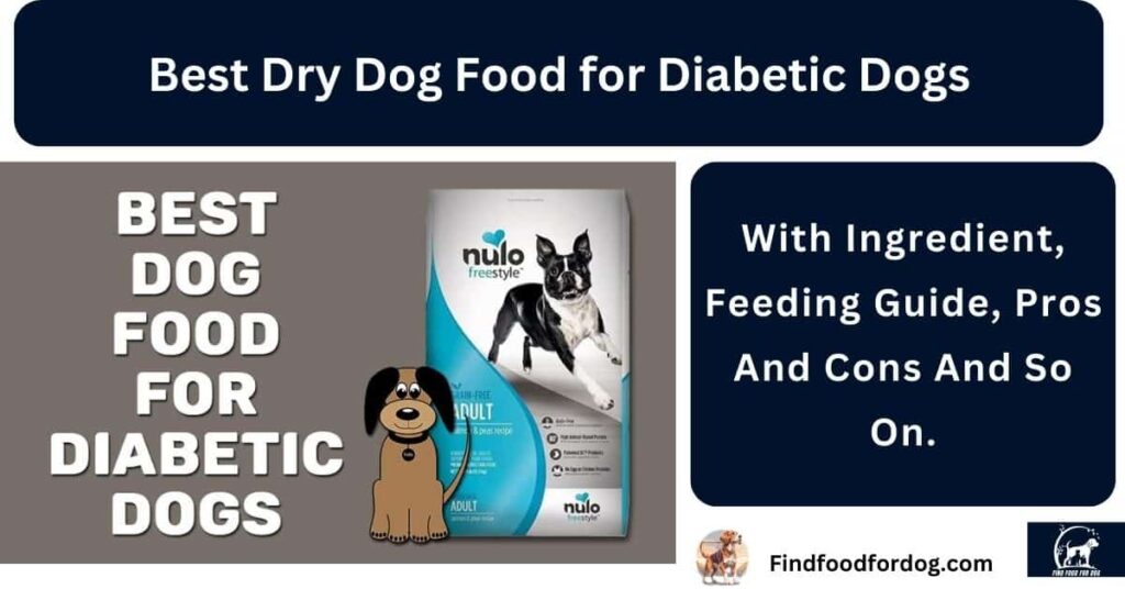 Best Dry Dog Food for Diabetic Dogs