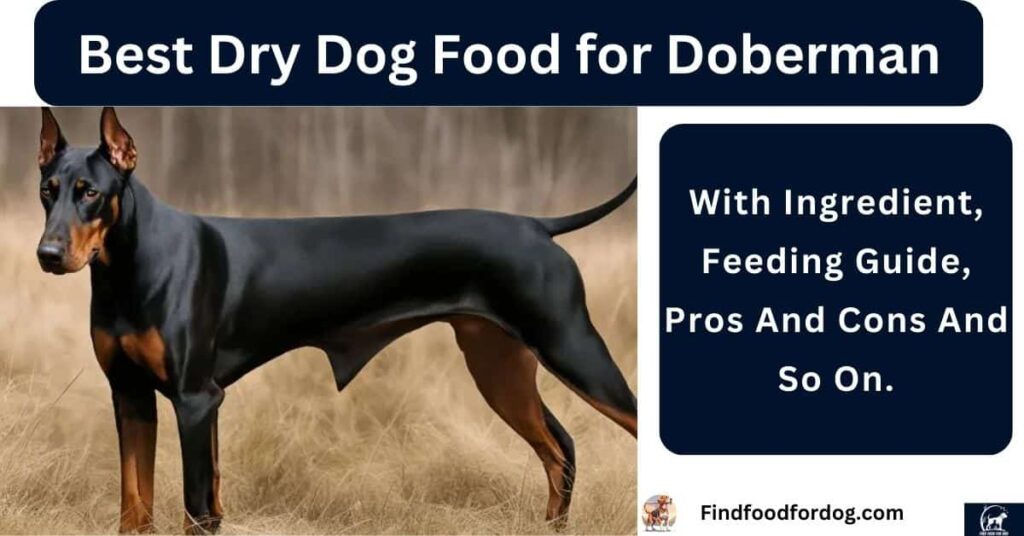 Best Dry Dog Food for Doberman