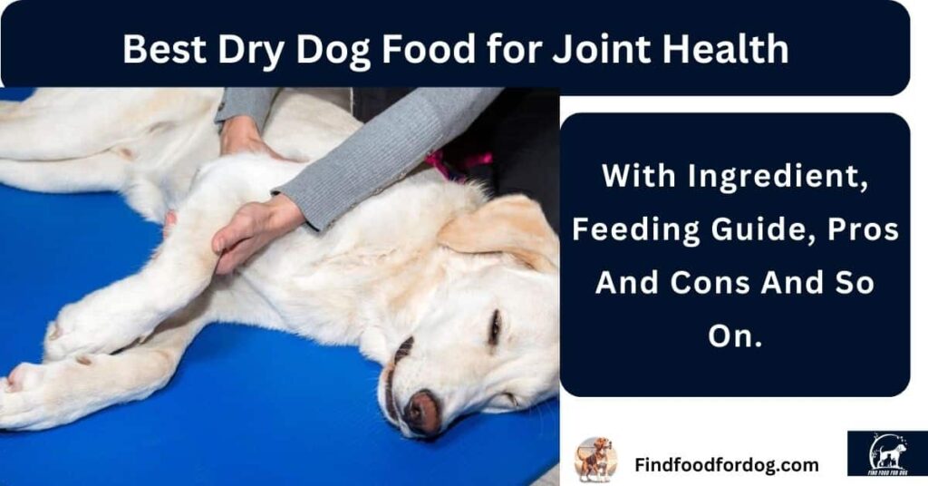 Best Dry Dog Food for Joint Health