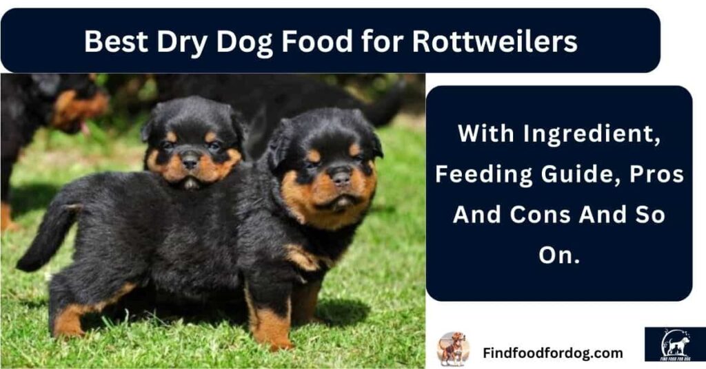 Best Dry Dog Food for Rottweilers