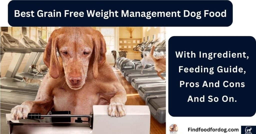 Best Grain Free Weight Management Dog Food