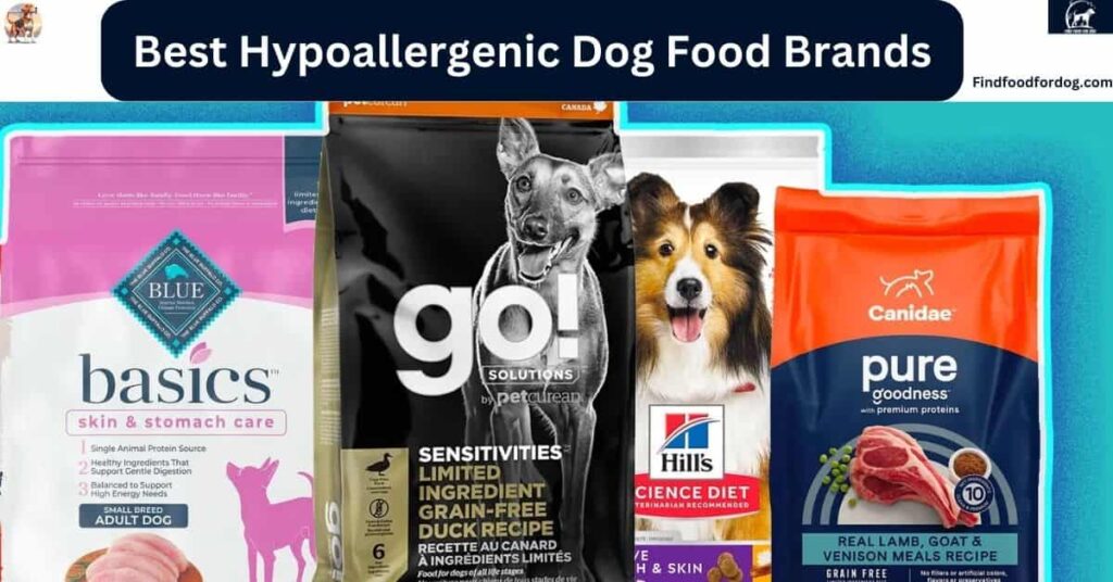 Best Hypoallergenic Dog Food Brands