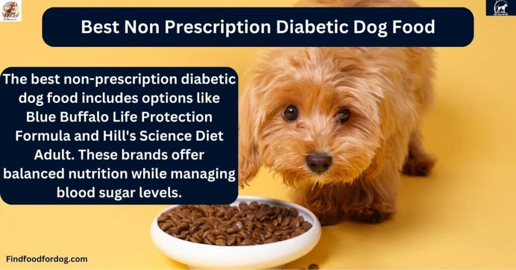 Best Non Prescription Diabetic Dog Food