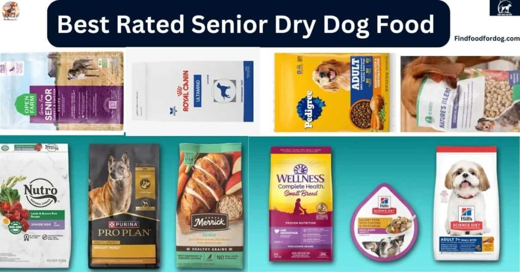 Best Rated Senior Dry Dog Food