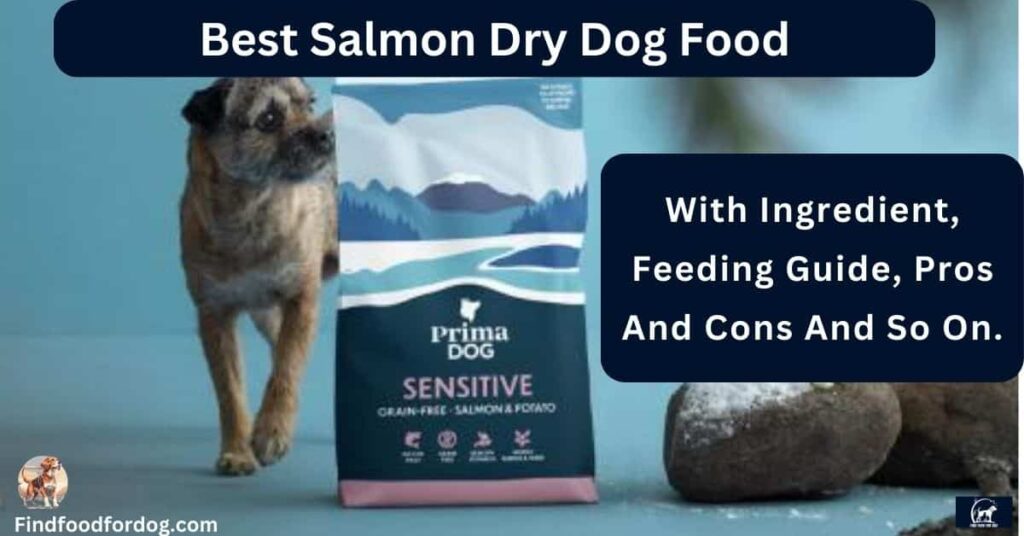 Best Salmon Dry Dog Food