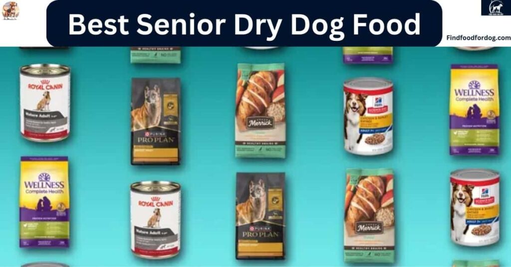 Best Senior Dry Dog Food