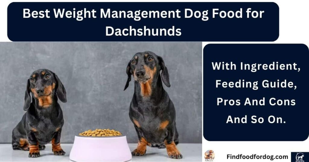 Best Weight Management Dog Food for Dachshunds