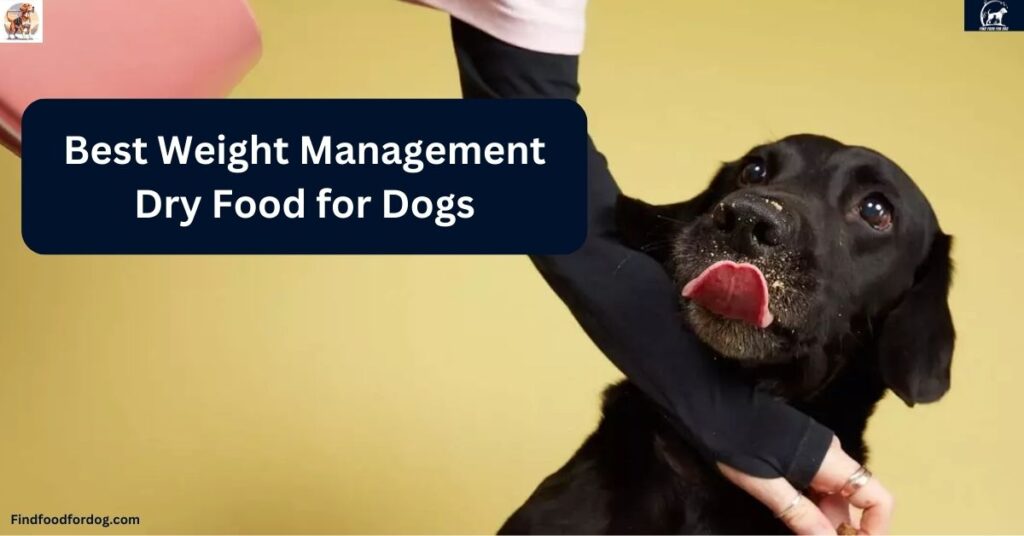 Best Weight Management Dry Food for Dogs