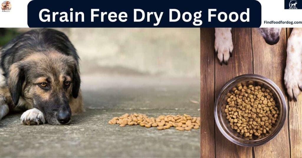 Grain Free Dry Dog Food