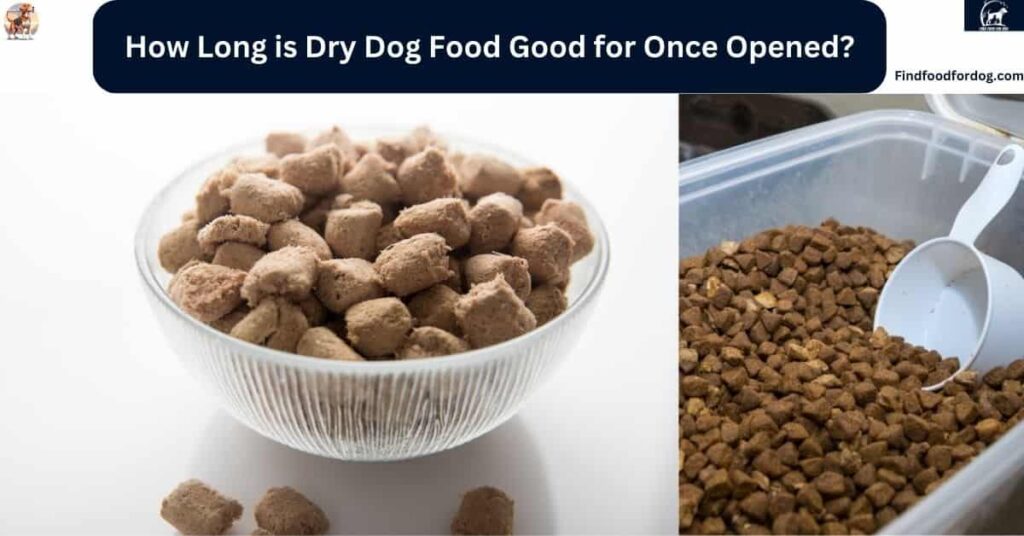 How Long is Dry Dog Food Good for Once Opened