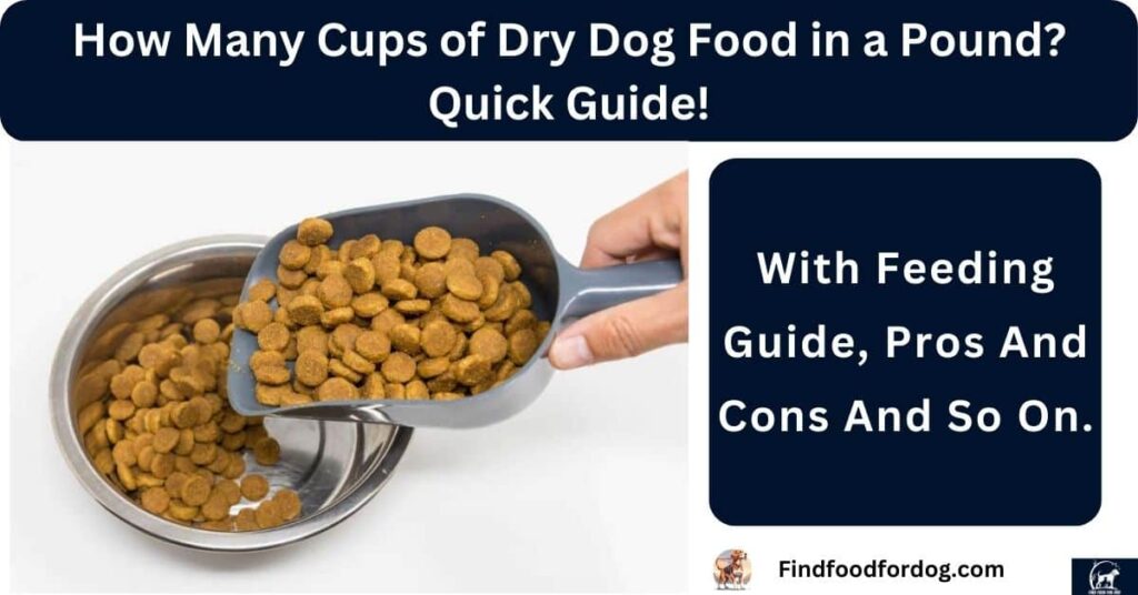 How Many Cups of Dry Dog Food in a Pound