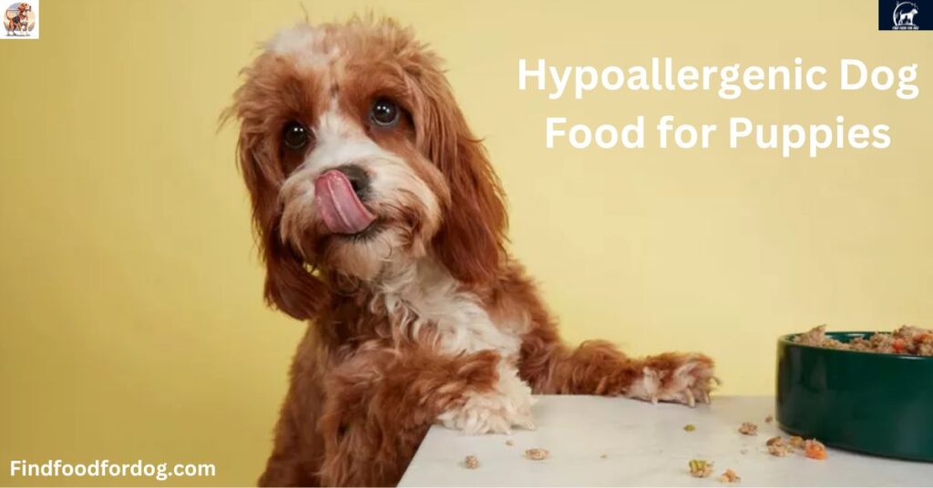 Hypoallergenic Dog Food for Puppies