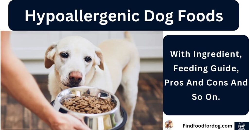 Hypoallergenic Dog Foods