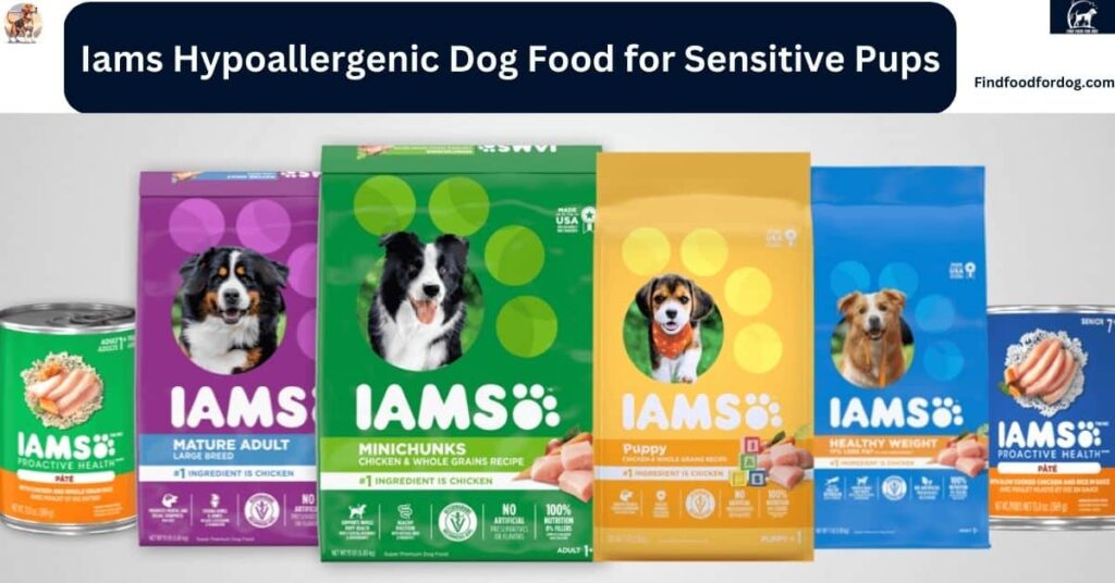 Iams Hypoallergenic Dog Food