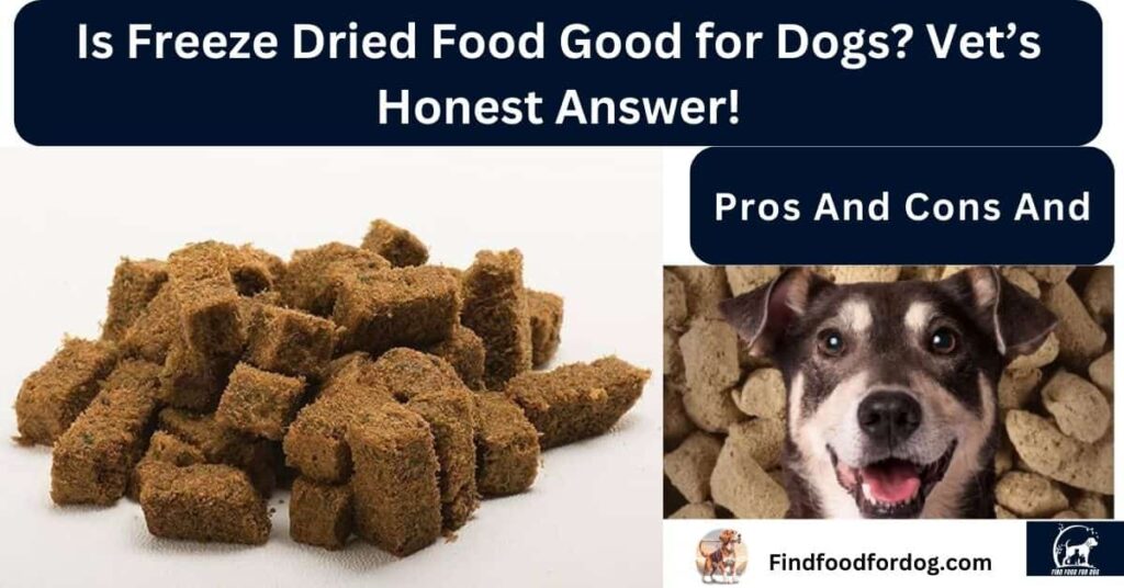 Is Freeze Dried Food Good for Dogs?