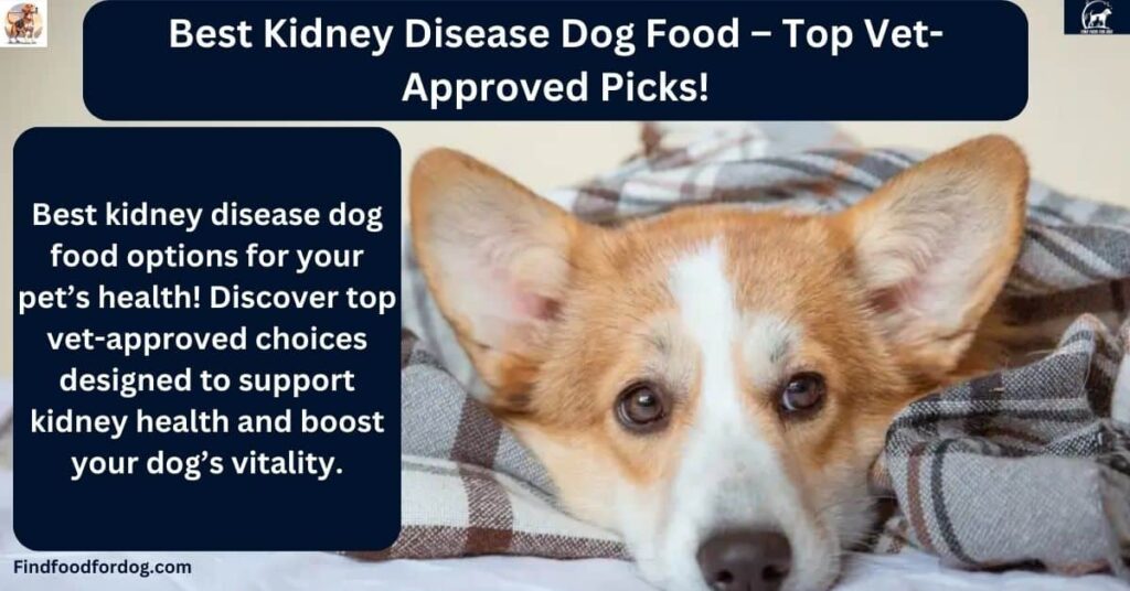 Prescription Kidney Dog Food