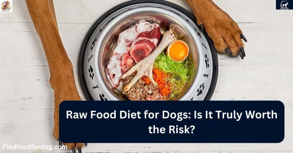 Pros And Cons of Raw Food Diet for Dogs