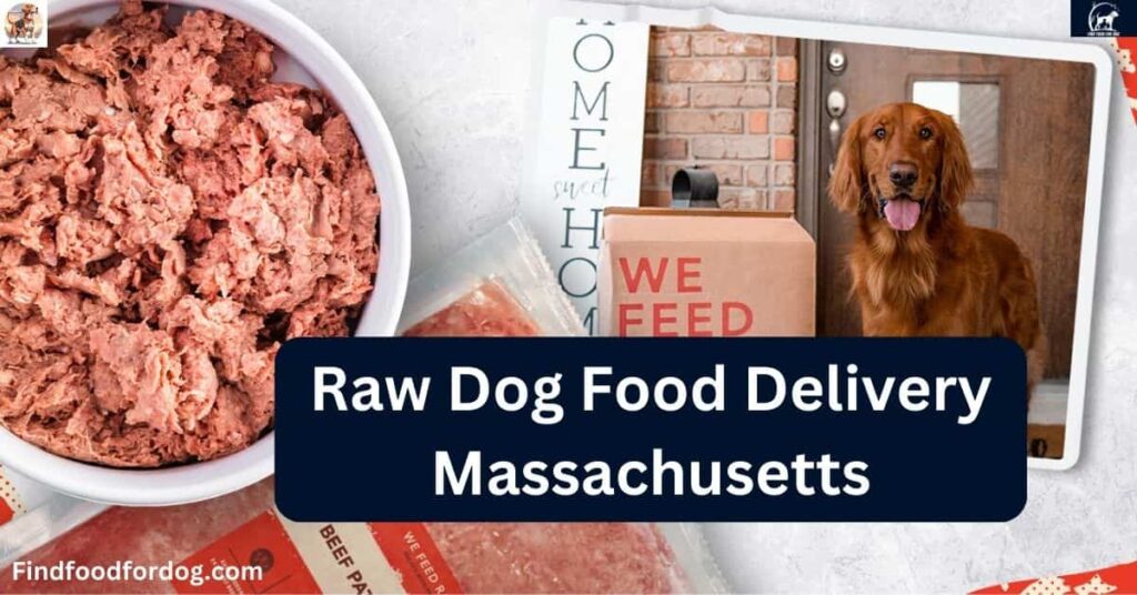 Raw Dog Food Delivery Massachusetts