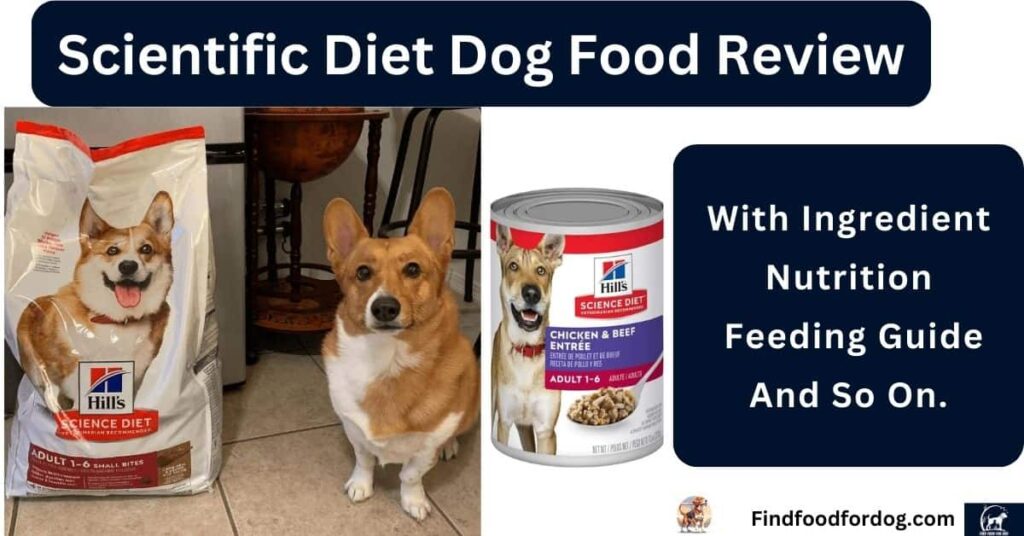 Scientific Diet Dog Food Review