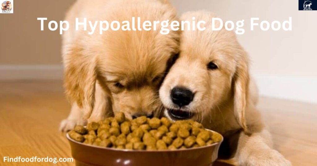 Top Hypoallergenic Dog Food