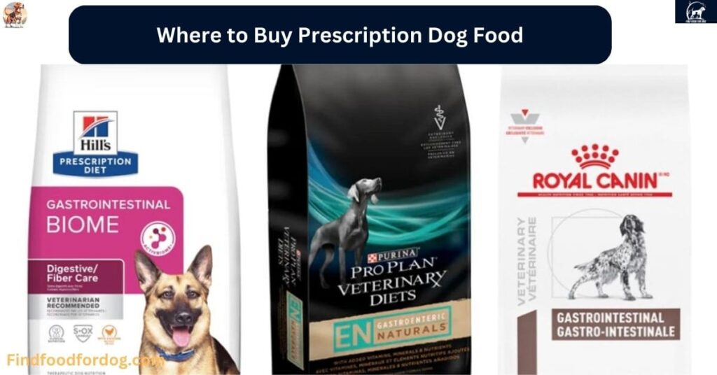 Where to Buy Prescription Dog Food