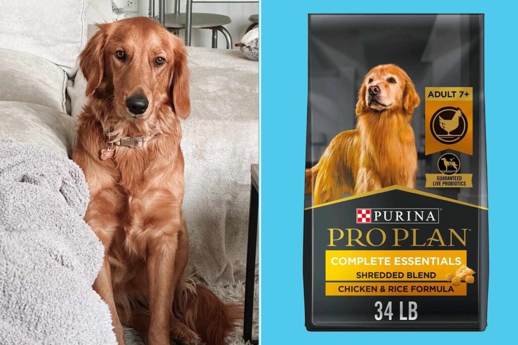 Best 5 Star Dry Dog Food Brands