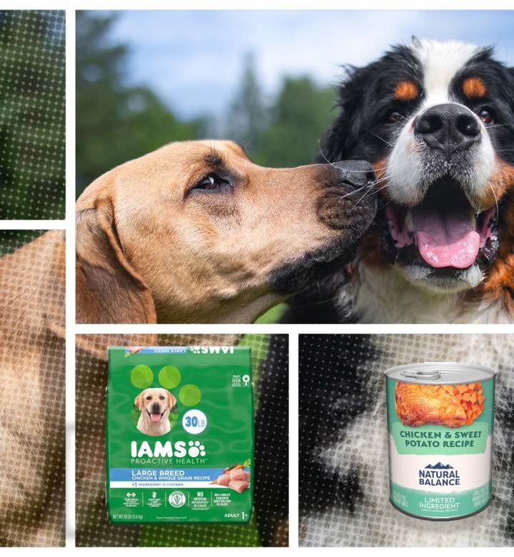 Best Affordable Natural Dry Dog Food Brands