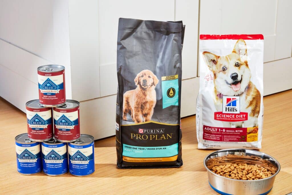 Best Dry Dog Food Brand Consumer Reports