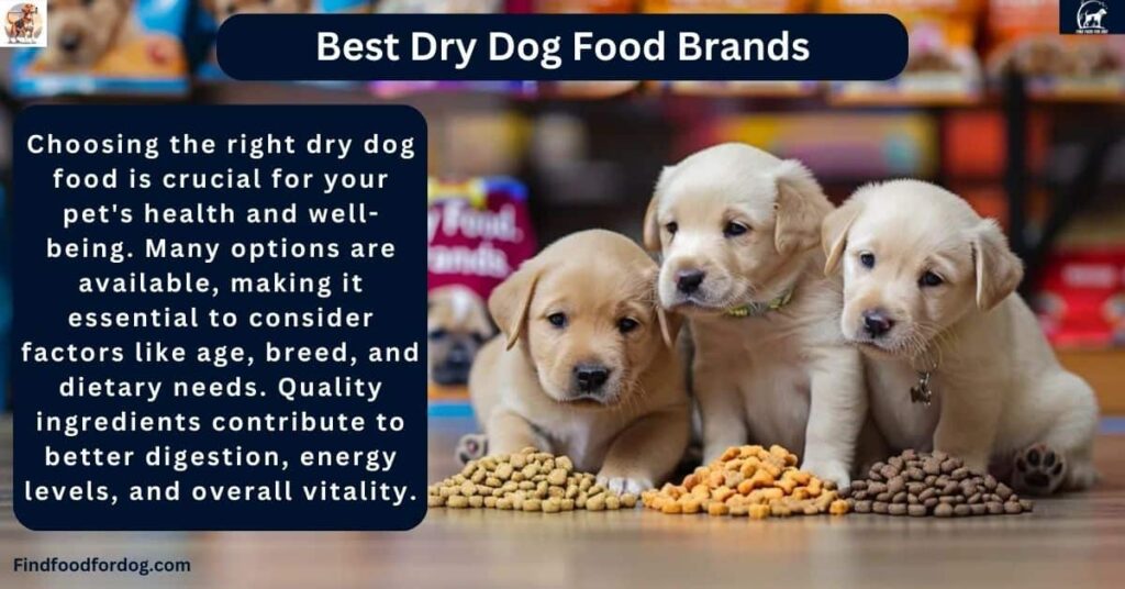 best dry dog food brands