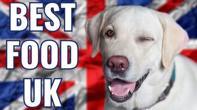 Best Dry Dog Food Brands Uk