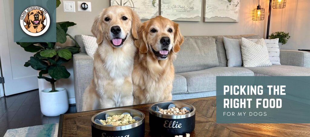 Best Dry Dog Food for Golden Retrievers: Top 5 Picks!