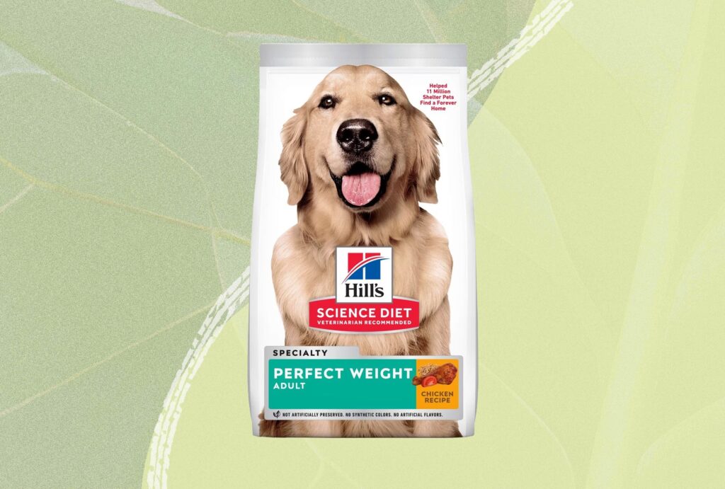 Best Dry Dog Food for Seniors: Top Age-Defying Picks!