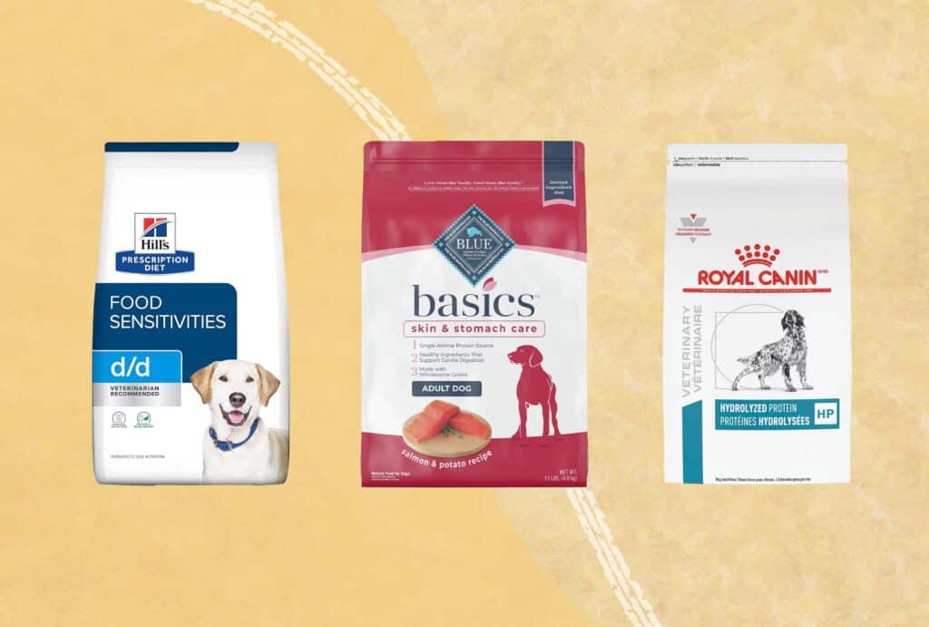 Best Dry Dog Food Skin Allergies: Ultimate Relief for Your Pup