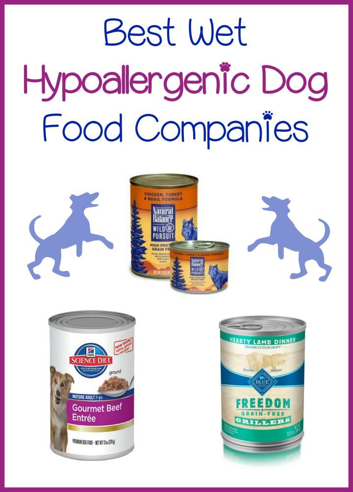 Best Hypoallergenic Wet Dog Food