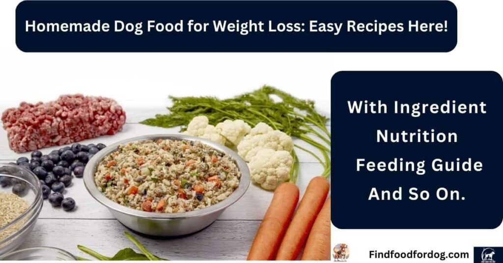 Homemade Dog Food for Weight Loss